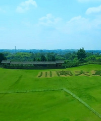 ���ڸ���ȫ��ͨ�����Լݴ�ǧ�������ڽ������湥������