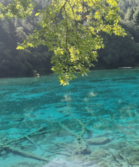 �Լ���������������һ·ˣ���ߣ��ֻ���ȫ�Ĳ�����ɫ����