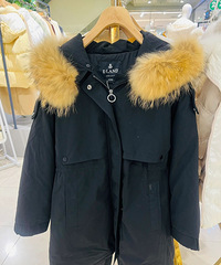 Eland����������ؼ�2-3��