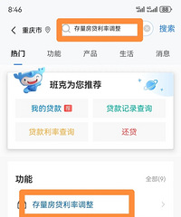 ���׽�Ϣ�ʸ񣬽���app��ѯ����