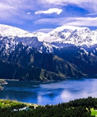 �½���5�����㣬�г�û����Ҫȥһ�ˣ�ȥ��һ��Ų����ź�