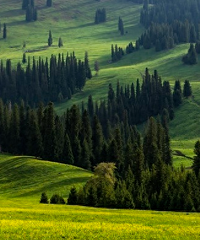 �½���5�����㣬�г�û����Ҫȥһ�ˣ�ȥ��һ��Ų����ź�