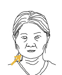 这样的脸型是发腮了吗?怎么瘦啊!