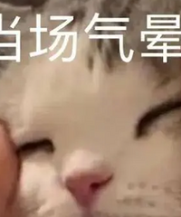 �賵�����ݣ�������ݿ�ȥ���ǻң�����Ŀ���ը��