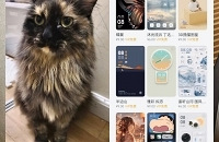 苹果12转华为mate60pro使用感受