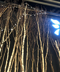 �⻷�������տ�������