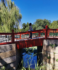 ����ƽ̨���������׵����Ӱ�