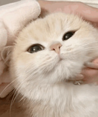 ������ֵ���򡿷仨ϴ��79��ֲ�۳Ȼ���ԡ¶25