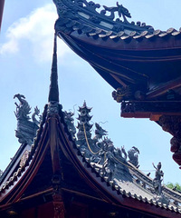 ����45����ֱ��ܱ߹���ǣ���ʳ�������˾��ޣ�������������