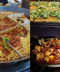 最近打卡四家店,焖锅烤鱼椰子鸡各有所长