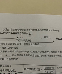 ���������ǰ������ΥԼ����