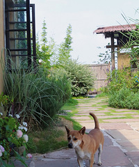 ����ϲ��������СԺ���顢�Ȳ衢���죬������У������Ե�һ��