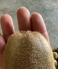 ȥժ⨺6/⻯˳ˣɽ