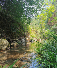 ÿ��һɽ|��ս�ϴ����´�ͽ��