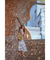 ����ĺ�ҹ�����