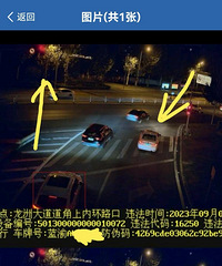 �������·���źŵ��Բ�ס��Υ�£������ò���������˾������