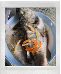 ���ӵ����棬ҲӦ�����ҵ�������