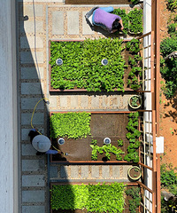 ������1¥���㶫���̰�1¥����ɲ�԰�ӣ�ʵ�֡��߲����ɡ�