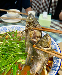 �ֽ����ɽһ�ҳ�����ϵ꣬������Լ��ݵ�