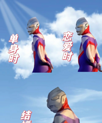 ������˶��������������