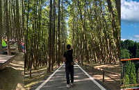 ȥɽƺ¶Ӫ۾̨ҰӪҵ