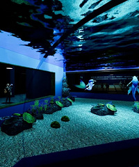 �ذ�!�山���¿�һ���������!