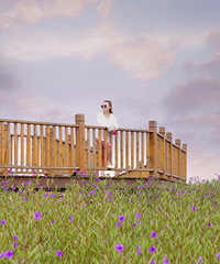 �����½��򿨵�|����Ƭ��ɫ������������