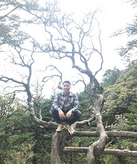 92175CM̵ĸ飬ϣԷ155