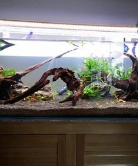 81겻˫ְ飬ϲɽﳵ