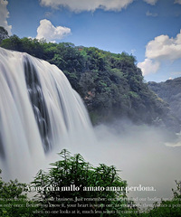 �����ŵ��ϵ������羰���ӻƹ������������