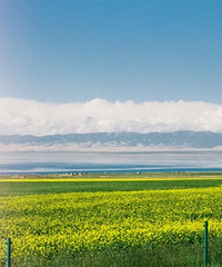 ��������ε��Լ�·���Ƽ�