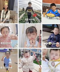 �㽭90��������������ޣ�13��9̥Ҫ����12��Ф