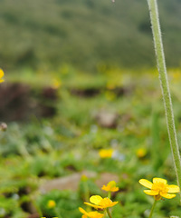 90갮õ㡢Լݺ¶Ӫĸ飬ϣԷ158