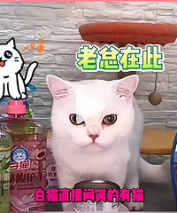 ������ֱ�����ɴ��Ͷ�����