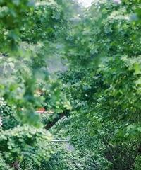 �뻻����Ƥ������������������180W��ͻȻ���ÿ��Ƴ�Ҳ������