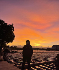 93178CMصλС飬ϣԷȶ