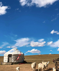 ���յ����ɣ�ɳĮ����ԭ����ȫ�򡢱�����ͨͨ��������