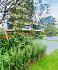 ���빫԰զѡ��³�����빫�ݡ��ø������������϶�