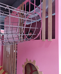 ¥��������������԰