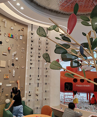 ¥��������������԰