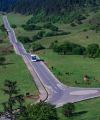 2023������¡����������ι���(��ͨ·��+������·�Ƽ�+��ɫ��ʳ)