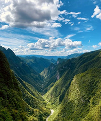 �н�80����ɫ��ʳ�����ܿ���������ܱ������ǣ��ܸ���ֱ��