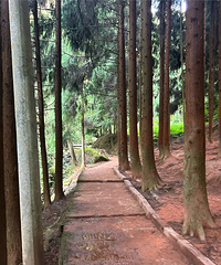 ��ĩ��ȥ������