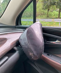 ����һ�����������һֻ�����䡱������������������