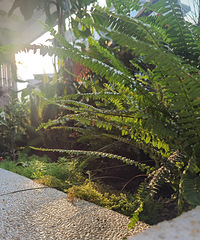 ���˴���̨���Ͳ�ȥ����¶Ӫ�ˣ��ѵðᶫ��