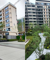 ��ɿ��컨�����������󷿽����ˣ�����������զ��