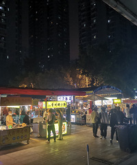 ���ļ�԰ҹ�й滮������������