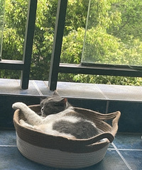 ���ڻ������޶��ɼ�Ʋ�����ǻ�����ƨΪ�ٵļҳ���