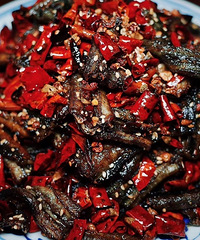 �����������ݳԳԺȺȼ���ɣ���Զ�������ζ��