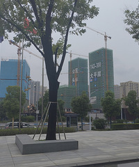 �����빫԰����õش�ƽ�㣿